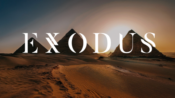 Exodus: It Begins Image